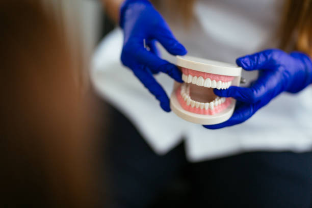 Dental X-Rays and Imaging in Greenbelt, MD